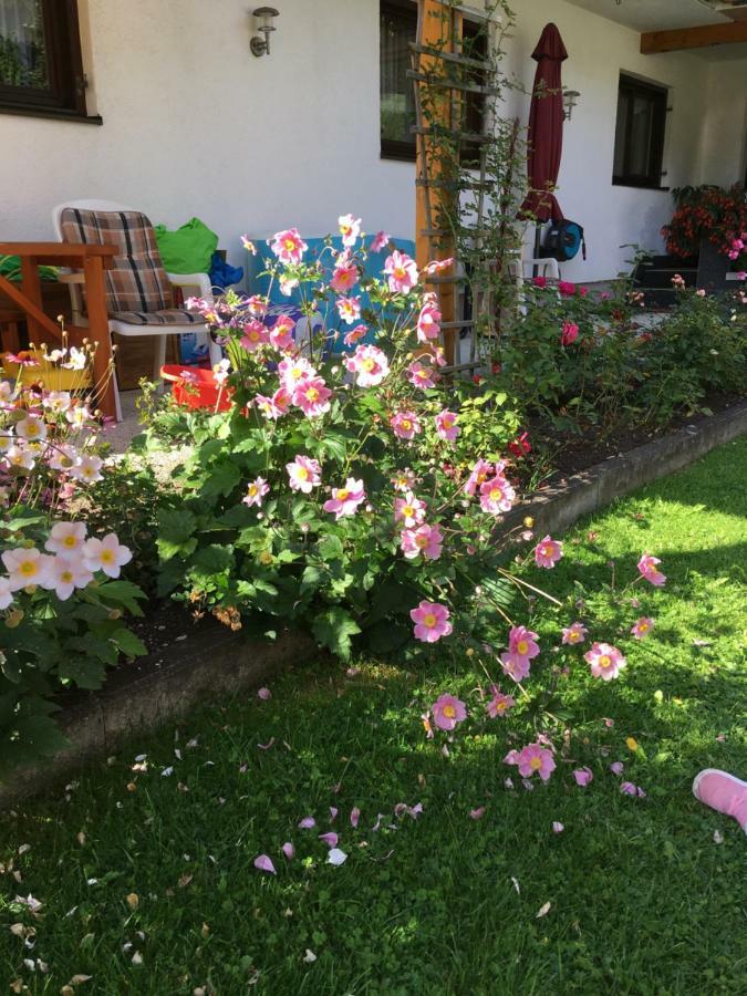 Appartements Wacker ビヒルバッハ エクステリア 写真